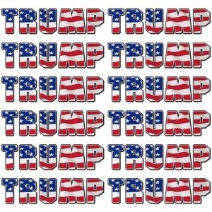 Trump American Flag Sticker (12 Pcs), Trump 2024 Vinyl Stickers and Decals, Trump 2024 Bumper Sticker for Car, Truck, Van, SUV, Motorcycle, Cup, House, Windows, Laptop, Great Gift for Any Patriot