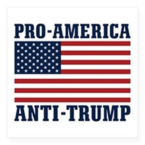 Pro-America Anti-Trump Sticker American Flag Bumper Sticker Second Amendment Decal 5" Square