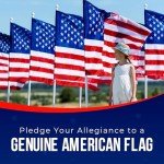 American Flag | American Flags for Outside 3X5 |100% Made in USA Flag - Premium US Flag 3X5 Heavy Duty Outdoor with Embroidered Stars and Sewn Stripes.