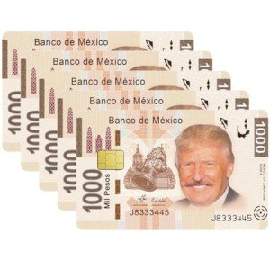 CAKEASY Trump Assassination Debit Card Sticker, Trump Shoting Credit Card Skin, Trump Fighting Credit Card Stickers, Trump 2024 Debit Card Skins, Trump Rally Attack 2024 Credit Card Covers, D - 5 Pcs