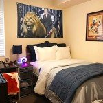 ZKflager Double Sided Trump Flag Republican 3x5 Ft Political Trump Lion Flag Banner Outdoor Indoor College Dorm Room Guys Man Cave Frat Bedroom
