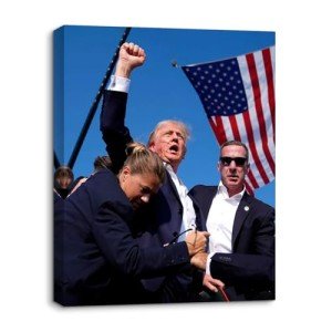 Generic Donald Trump Assassination Attempt Fight Picture on Stretched Canvas Wall Art, Ready to Hang!-Canvas Prints with Your Photos (12x16), blue