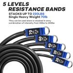 220lb Heavy Duty Resistance Bands Set for Home Workout Effective Exercise Bands for Full-Body Workout, Physical Therapy,Resistance Bands with Handles, Door Anchor, Legs Ankle Straps