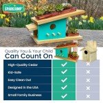 SparkJump Modern Birdhouse Woodworking Kit – Complete DIY Birdhouse Kits for Kids and Adults – Build Your Own Bird House Kit for Kids - Woodworking Adult Crafts & Kids Woodworking Kit