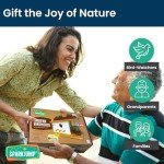 SparkJump Modern Birdhouse Woodworking Kit – Complete DIY Birdhouse Kits for Kids and Adults – Build Your Own Bird House Kit for Kids - Woodworking Adult Crafts & Kids Woodworking Kit