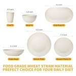 Lazycorner 48-Piece Wheat Straw Dinnerware Sets for 8, Unbreakable Reuasble Dinner Dishes Serving Plate Set for Kitchen, Including Plastic Dinner Plate, Dessert Plate, Bowl, Cup(Beige)