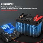 20A Dual Bank Smart Marine Battery Charger