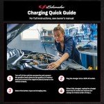 Schumacher Electric 15 Amp 6V/12V Battery Charger