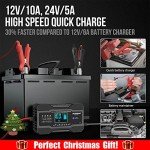 10-Amp Smart Car Battery Charger for 12V/24V