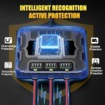 3 Bank 12V Smart Marine Battery Charger 30A