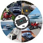 10-Amp Smart Car Battery Charger for 12V/24V