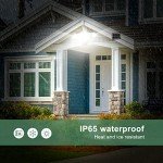 GLORIOUS-LITE Rechargeable LED Solar Security Light