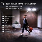 Solar Motion Sensor Lights - Pack of 2