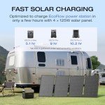 EF ECOFLOW 125W Bifacial Solar Panels for Camping