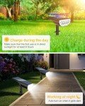 Outdoor Waterproof Solar Spot Lights with 3 Modes