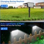 Solar Spot Lights for Outdoor Garden Decor - 2 Pack