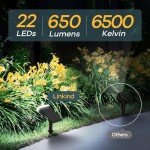 Linkind StarRay Solar Spot Lights - 2 Pack