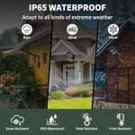 2 Pack Solar Street Lights with Motion Sensor