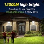 2 Pack Solar Flood Lights with Auto On/Off