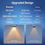 Solar Outdoor Fence Lights - 10 Pack, Waterproof