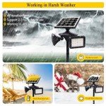Bright Solar Motion Sensor Outdoor Light 6000K