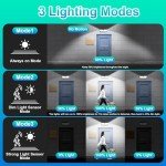 Bright Solar Outdoor Motion Sensor Lights - 2-Pack