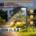 Bobcat Solar Pathway Lights Super Bright 300 lumens with 2-in-1 Warm White and Daylight Modes, Dark Brown Solar Lights for Outdoor Path, Sidewalk, Driveway or Walk Way Light(4 Pack)