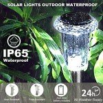 LIANGLOME Solar Lights Outdoor - IP65 Waterproof Solar Pathway Lights Stainless Steel Outdoor Solar Lights for Yard Patio Lawn Walkway and Landscape Cool White (6 Pack)