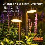 8 Pack Solar Pathway Lights Outdoor, Solar Lights Outdoor Waterproof with Brighter 12 LED, Up to 12 Hrs Outdoor Solar Powered Garden Lights for Yard, Modern Pathway Walkway Path Driveway Lights