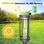 COXSENI Solar Pathway Lights Outdoor 6 Pack, Bright Solar Path Lights Outside Waterproof, Solar Walkway Lights Solar Powered Landscape Lights for Driveway Lawn Patio Sidewalk Yard