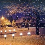 Solar Lights Outdoor, 8 Pack LED Solar Globe Powered Garden Light Waterproof for Yard Patio Walkway Landscape In-Ground Spike Pathway, Cold White