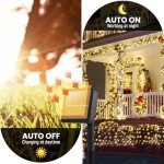 Solar String Lights for Outside, 2 Pack 100 Led Solar Christmas Lights Outdoor Waterproof 100ft Solar Fairy Lights 8 Lighting Mode Solar String Lights Idea for Garden,Courtyards,Trees(Warm White)