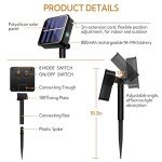 Cuorung 4 Pack Solar String Lights for Outside, 400LED 160FT Bright Solar Lights Outdoor Waterproof, Copper Wire with 8 Modes Fairy Lights for Tree Garden Party Wedding Halloween Decor (Warm White)