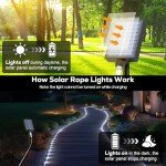ICRGB 66FT 200LED Solar Rope Lights, Outdoor Waterproof Solar Christmas Lights with Remote, IP67 Outdoor Solar String Lights, Timing & 8 Modes, Garden Christmas Decorative for Tree Porch Pool, White