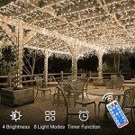 ICRGB 66FT 200LED Solar Rope Lights, Outdoor Waterproof Solar Christmas Lights with Remote, IP67 Outdoor Solar String Lights, Timing & 8 Modes, Garden Christmas Decorative for Tree Porch Pool, White