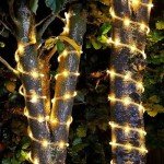 SINGCHUNGTE 2 Pack 33Ft Solar Rope Lights, LED Waterproof Solar Rope Light, Solar Rope Lights Outdoor, String Rope Lights for Patio, Pool and Christmas Tree Decorations (White Warm)