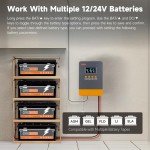 25A MPPT Solar Charge Controller for 12V/24V Batteries