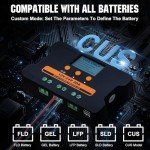 ECO-WORTHY 30A Solar Charge Controller with USB Ports