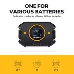 BougeRV 20A PWM Solar Charge Controller w/USB