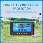 Dawnice 30A Solar Charge Controller with USB Ports