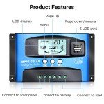 iSunergy 100A MPPT Solar Charge Controller with LCD
