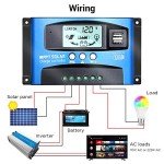 iSunergy 100A MPPT Solar Charge Controller with LCD