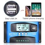 iSunergy 100A MPPT Solar Charge Controller with LCD