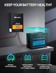 ECO-WORTHY 60A Bluetooth MPPT Solar Charge Controller