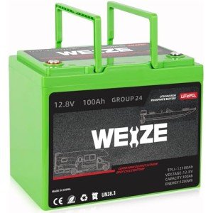 WEIZE 12V 100Ah Lithium Battery for Solar & RV