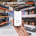 LiTime 12V 100Ah Bluetooth LiFePO4 Battery