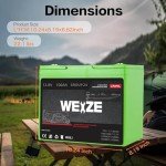 WEIZE 12V 100Ah Lithium Battery for Solar & RV