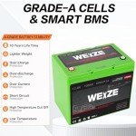 WEIZE 12V 100Ah Lithium Battery for Solar & RV