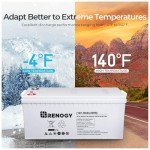 Renogy 12V 200Ah Deep Cycle AGM Battery