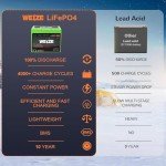 WEIZE 12V 100Ah Lithium Battery for Solar & RV